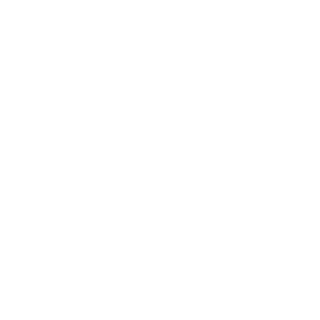 Geely Logo